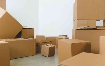 Cajas de Cartón y Economía Circular: Avanzando hacia un Futuro Sostenible