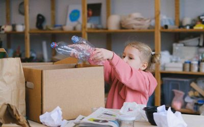El Proceso de Reciclaje del Cartón: Contribuyendo a la Sostenibilidad