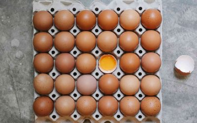 Envases de Cartón para Alimentos: Una Elección Sostenible y Versátil