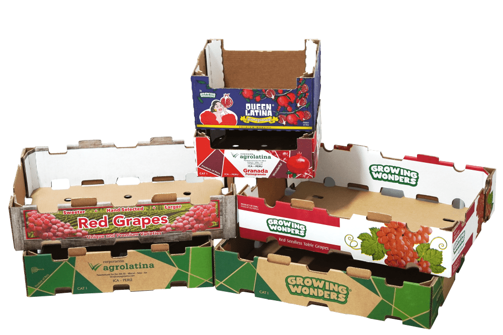 Copia de DSC08917-min-min cajas agrícolas