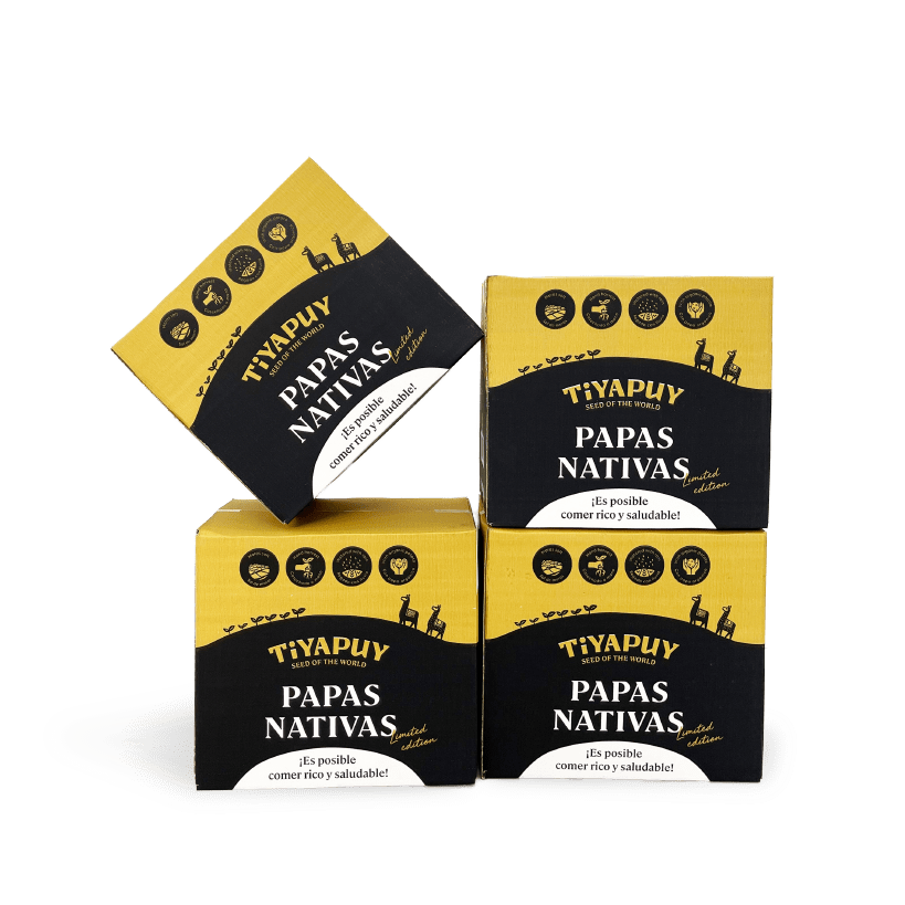 proyecto 1 cajas convencionales