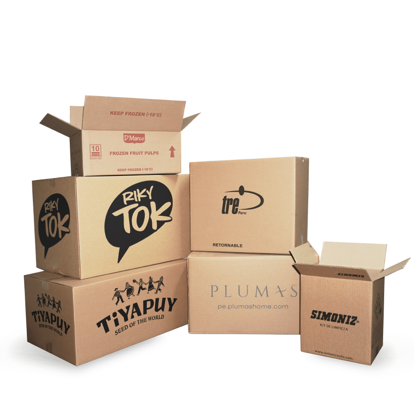 proyecto 2 cajas convencionales