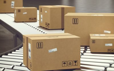 Claves para un Proveedor ideal de Cajas de Cartón para tu Negocio