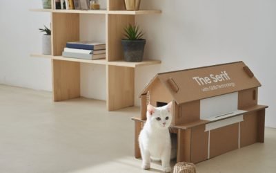 Cajas de Cartón que Sorprenden y crean Experiencias que Venden