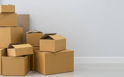 Cómo Diseñar una Caja de Cartón: Guía Paso a Paso